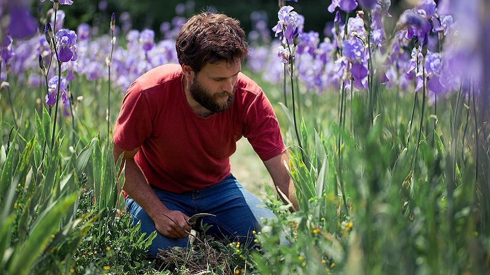 Jardinier à genoux dans un champ de fleurs