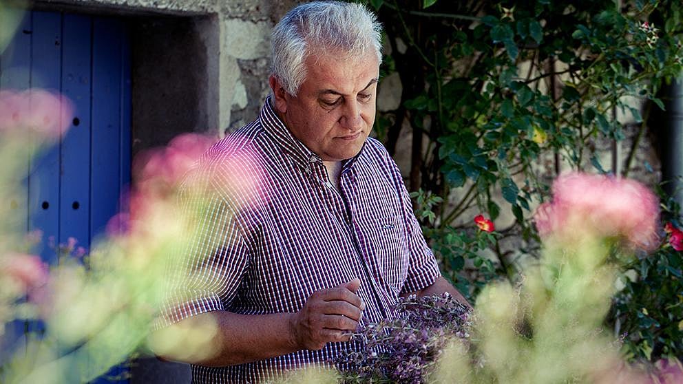 Mann bei der Lavendel Ernte