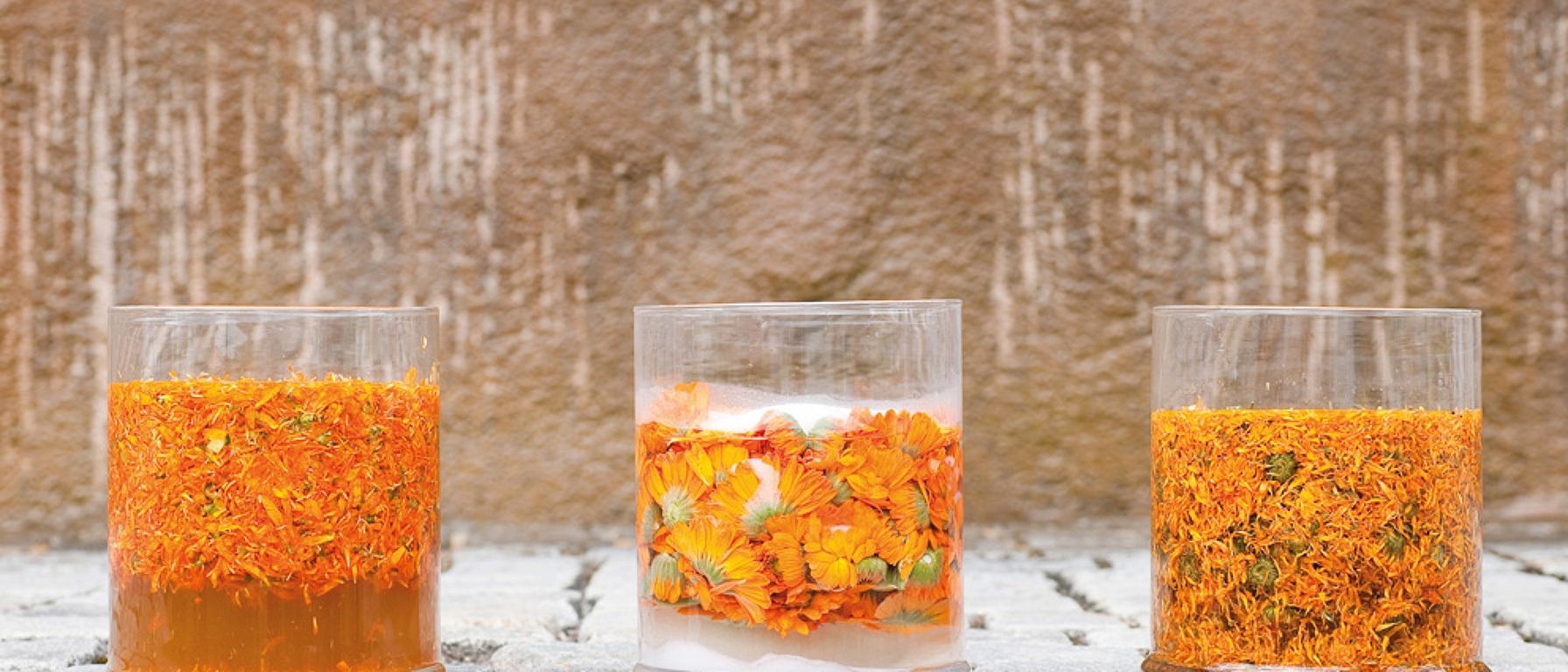 Fleurs de calendula en pots