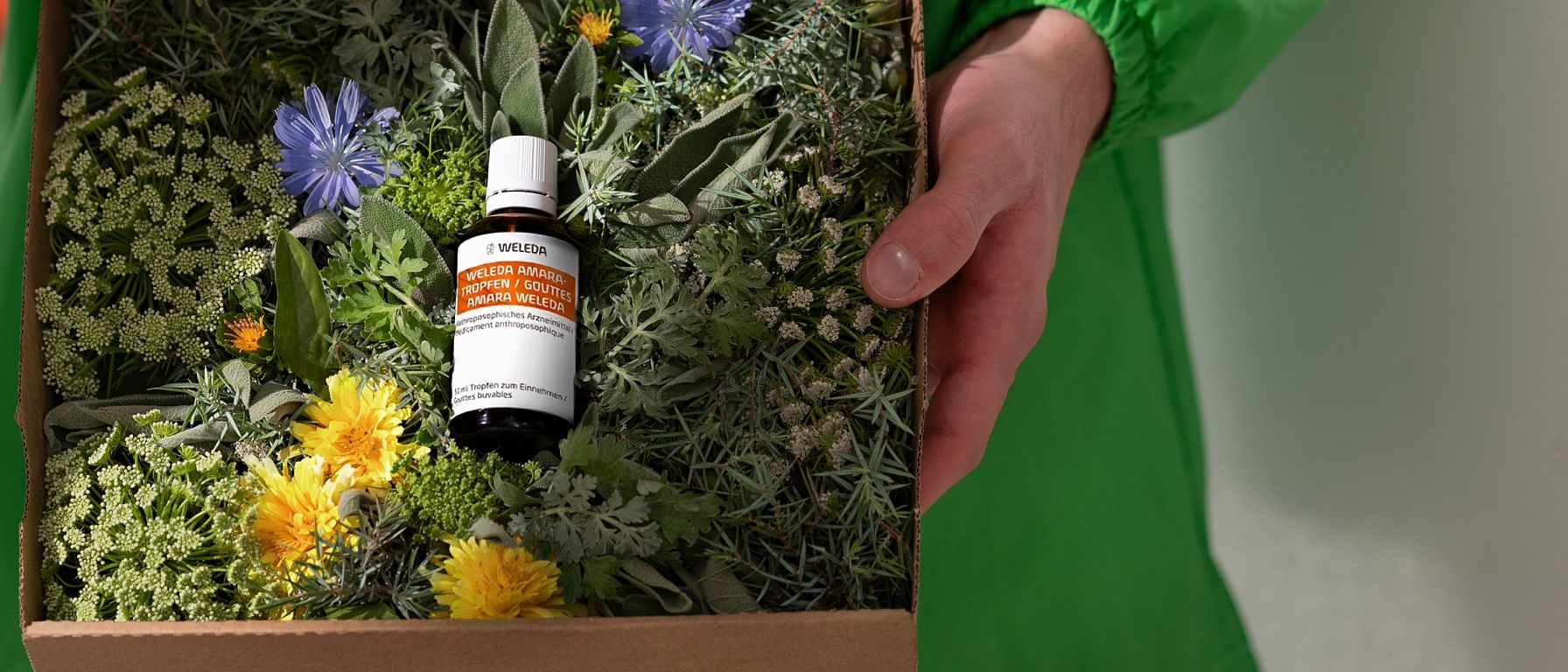 Amara Tropfen liegen in einer Box mit Blumen. Hand hält die Box