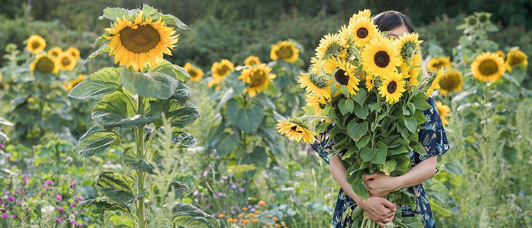 Une femme tient un bouquet de tournesols devant un champ de tournesols