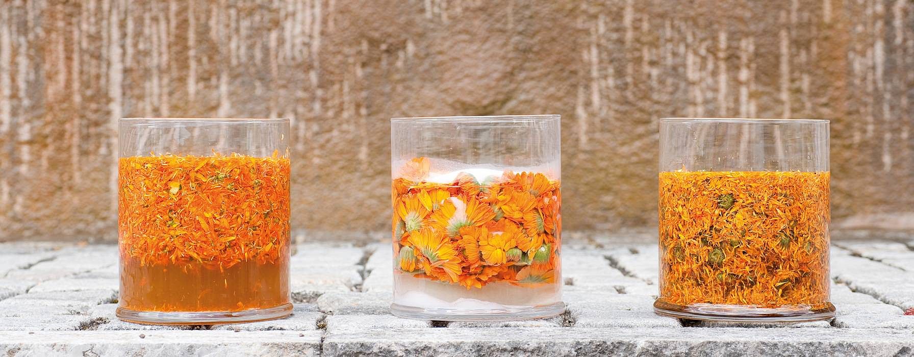 Trois récipients contenant des fleurs de calendula dans différents états d'agrégation
