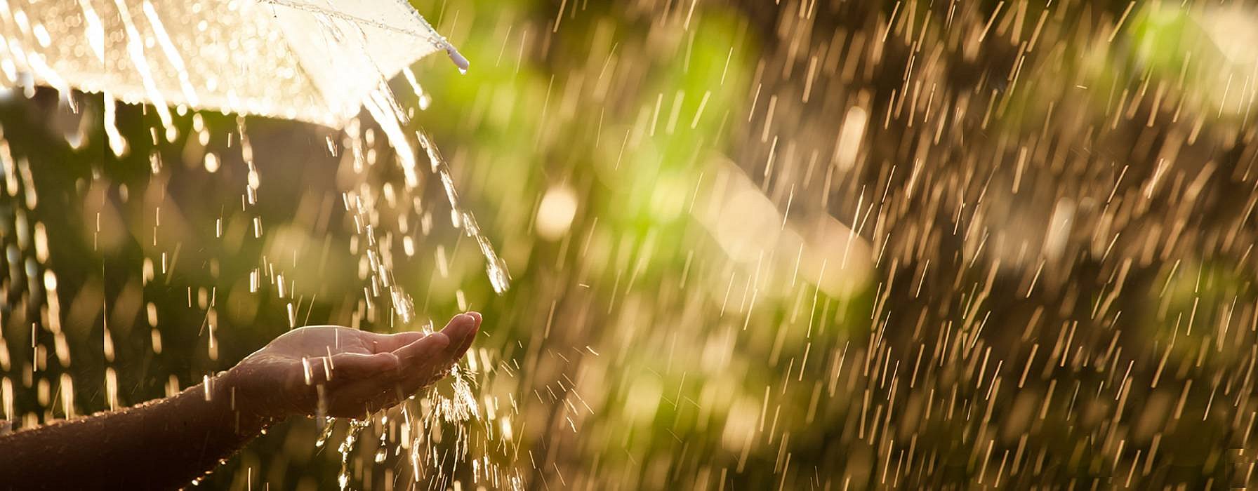 Regenschirm im Regen