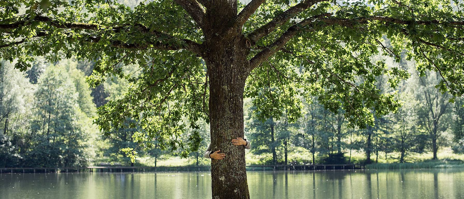 Un homme enlace un arbre au bord d'un lac