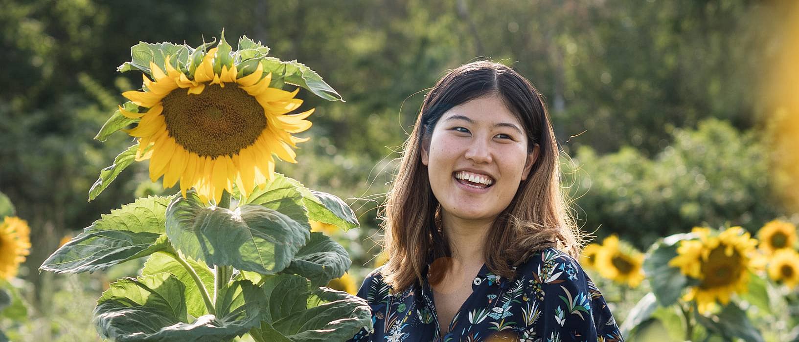 femme aux tournesols