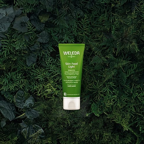 Skin Food light