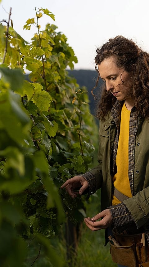 Femme près de la vigne