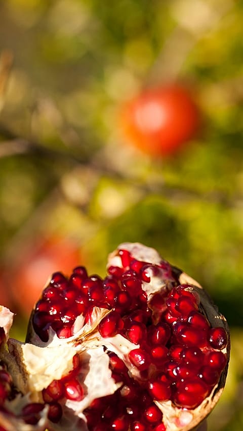 Geöffneter Granatapfel