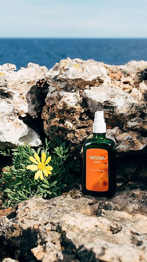 Huile de massage Arnica