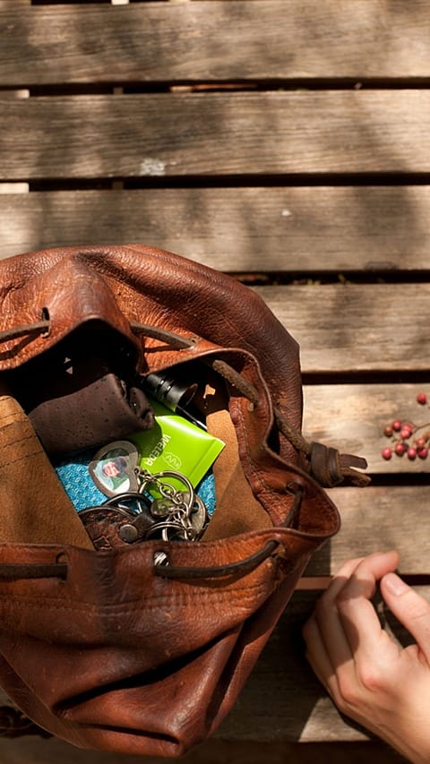 Handtasche mit einer Tube Weleda Skin Food