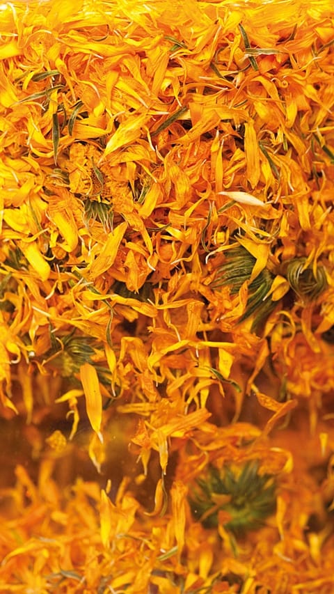 Pétales de calendula séchés