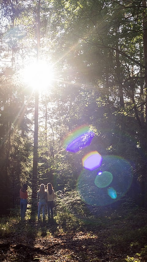 3 Frauen im sonnigen Wald