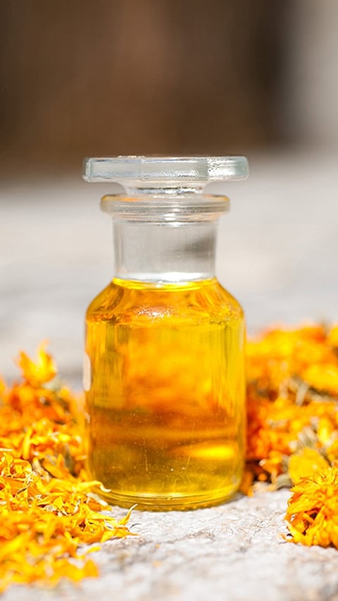Calendula Öl und Blüten
