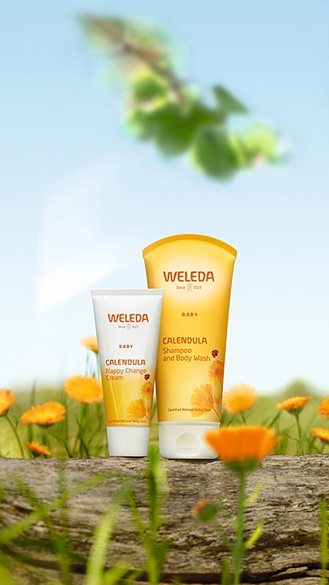 Crème Change Bébé au Calendula et Douche & Shampooing au Calendula dans le champ de calendula