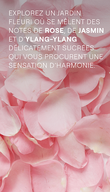 Pétales de roses. Explorez un jardin fleuri ou se mêlent des notes de rose, de jasmin et d'Ylang-Ylang délicatement sucrées qui vous procurent une sensation d'harmonie.