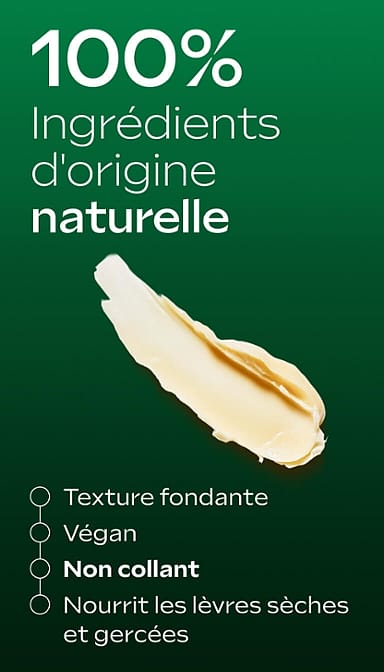 Skin Food Stick Lèvres