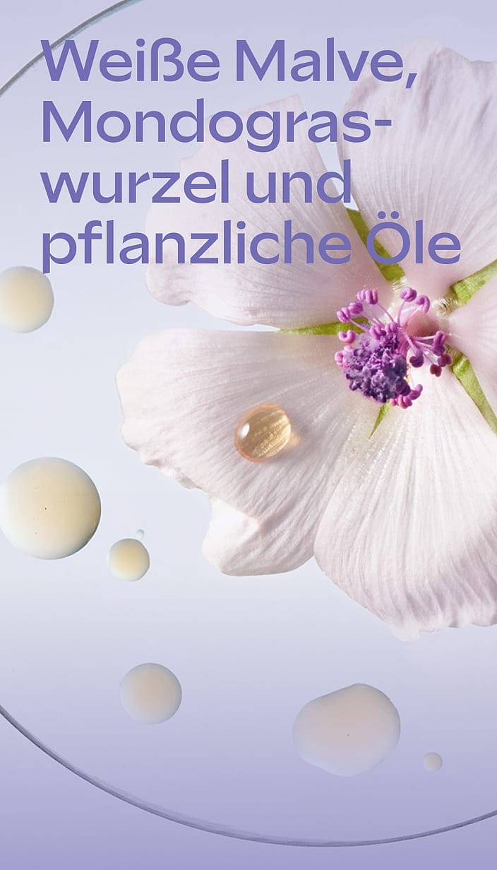 Derma 3in1 Pflegelotion Weisse Malve