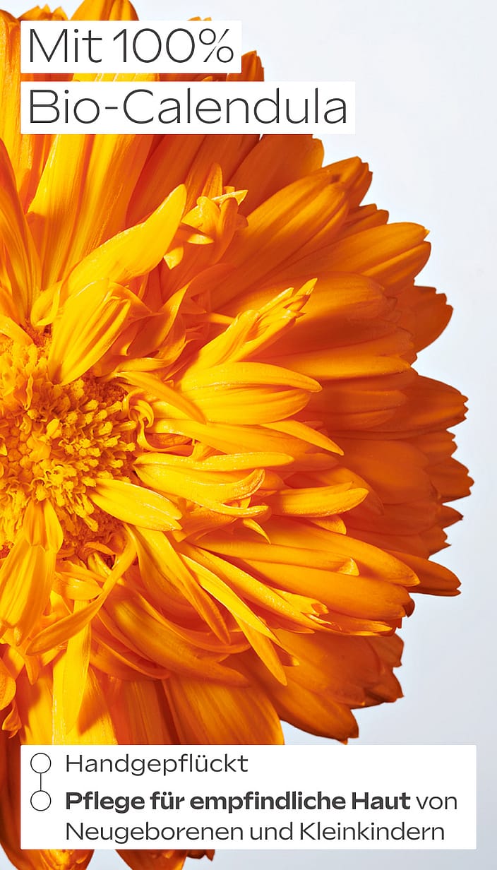 Calendula Wind & Wetter Balsam