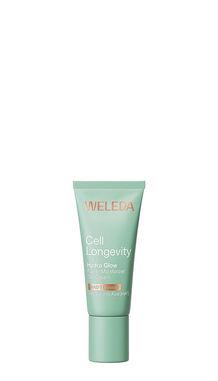 Cell Longevity Hydra Glow Kennenlern-Set