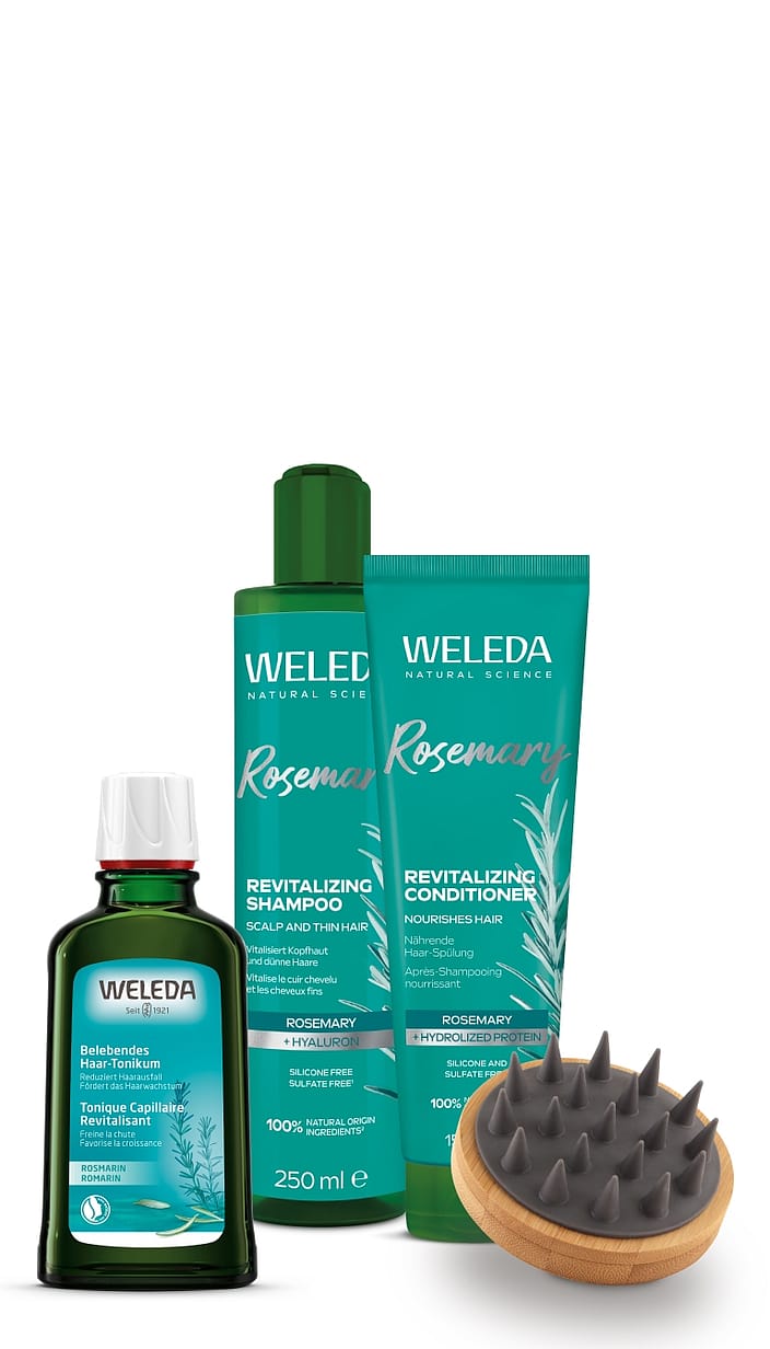 Haircare avec brosse de massage du cuir chevelu