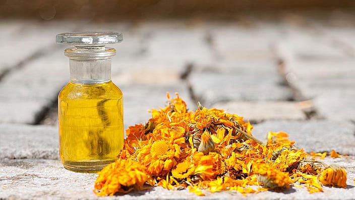 Huile et fleurs de calendula