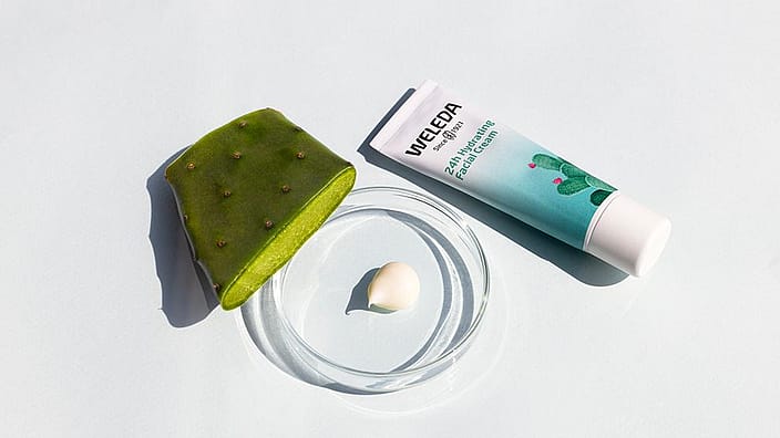 Figuier de Barbarie Crème Hydratante 24h, un morceau de figuier de Barbarie et un peu de crème dans un bol en verre