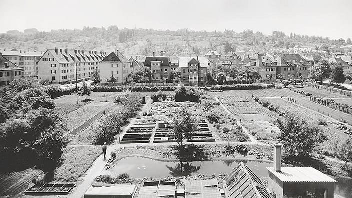 Garten von früher