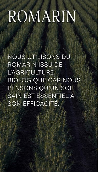 Huile Capillaire Nourrissante