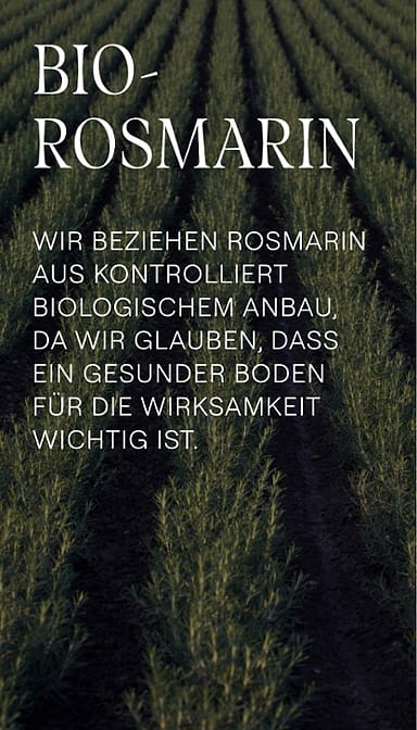 Rosmarin Revitalising Shampoo