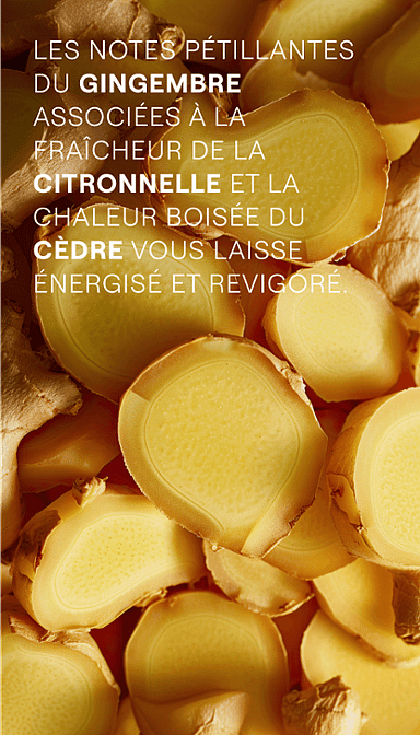 Energy Shower Gel Gingembre
