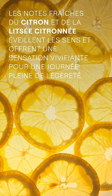 Refresh Shower Cream Citrus
