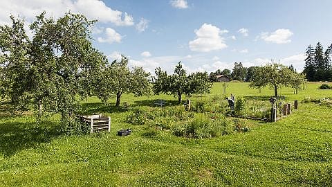 Gärtner im Garten