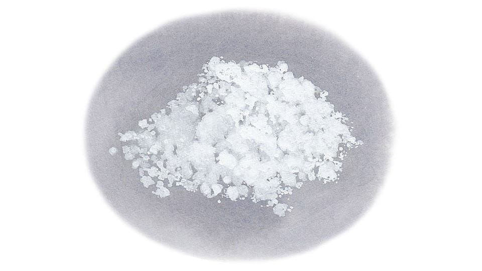 Ophiopogon Japonicus Root Extract
