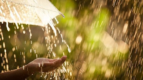 Regenschirm im Regen