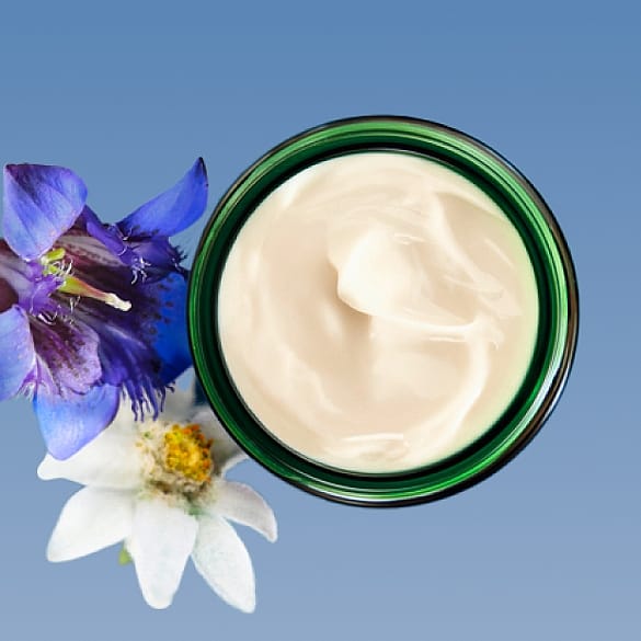Creme Enzian Blüte Edelweiss Blüte