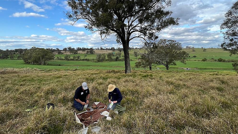 Australie – Accompagnement sur le chemin de l’agriculture régénérative