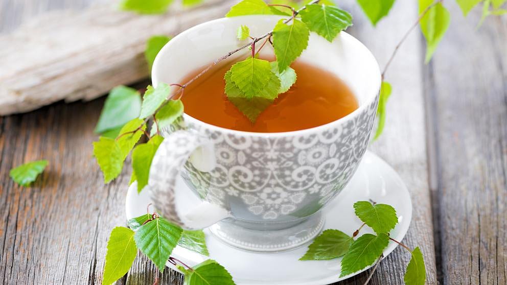 tisane et feuilles de bouleau
