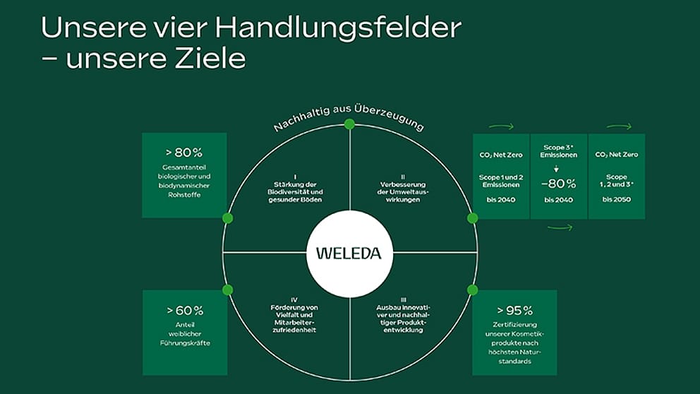 Regenerative Wertschöpfungskette