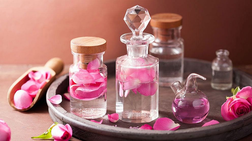 rosen im glas