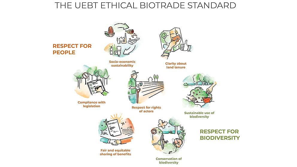 UEBT diagram