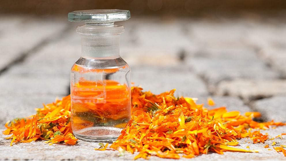 Bouteille de liquide clair entourée de fleurs de calendula