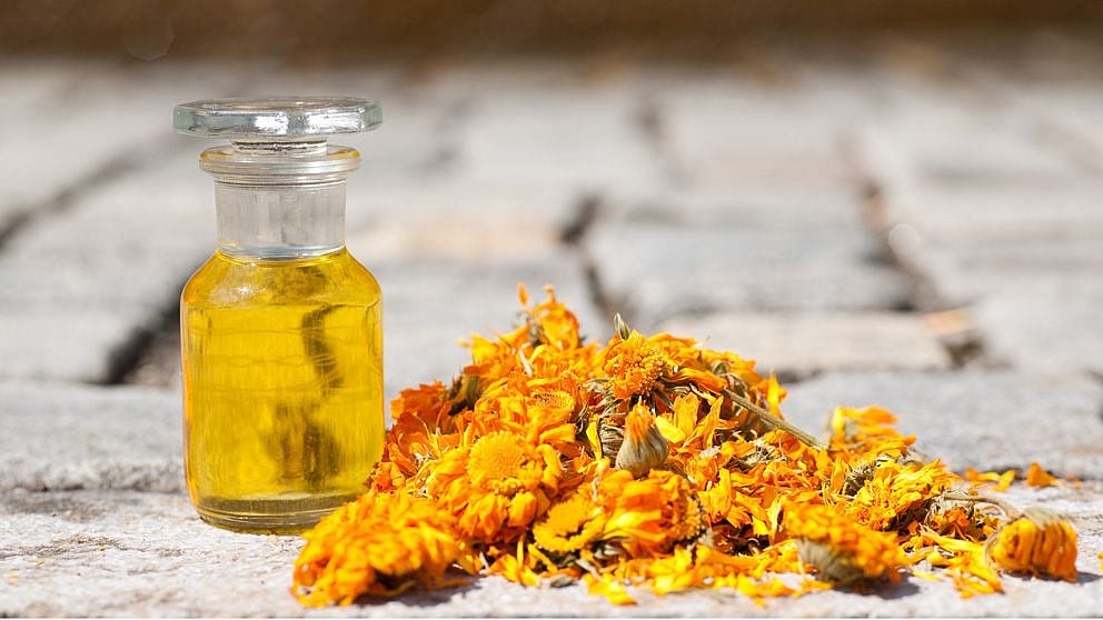 Bouteille d'huile entourée de fleurs de calendula