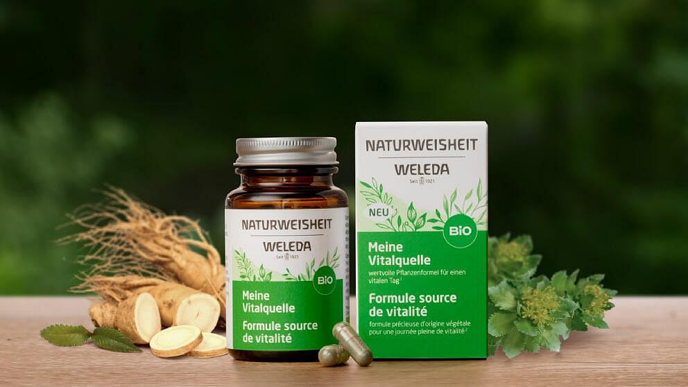 Formule source de vitalité avec ginseng sibérien, de la racine de rose et du thé vert