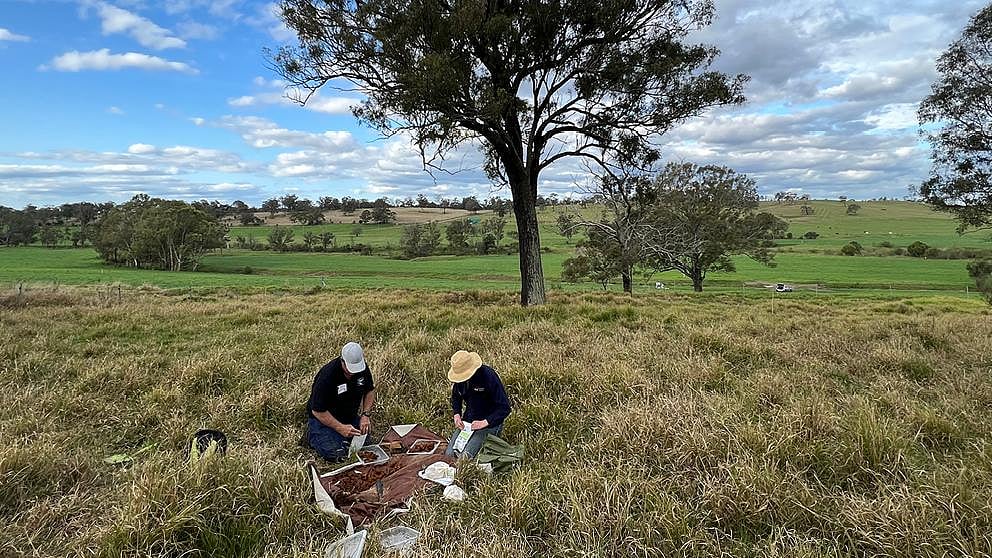 Australien - Begleitung auf dem Weg zur regenerativen Landwirtschaft